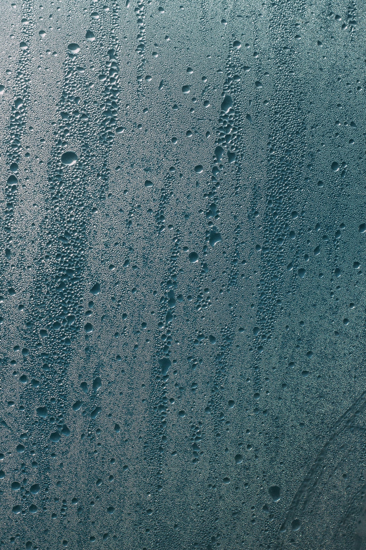 Condensation droplets on a window